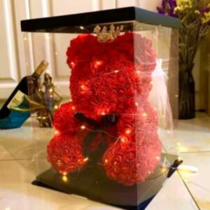 boncellensis secullant